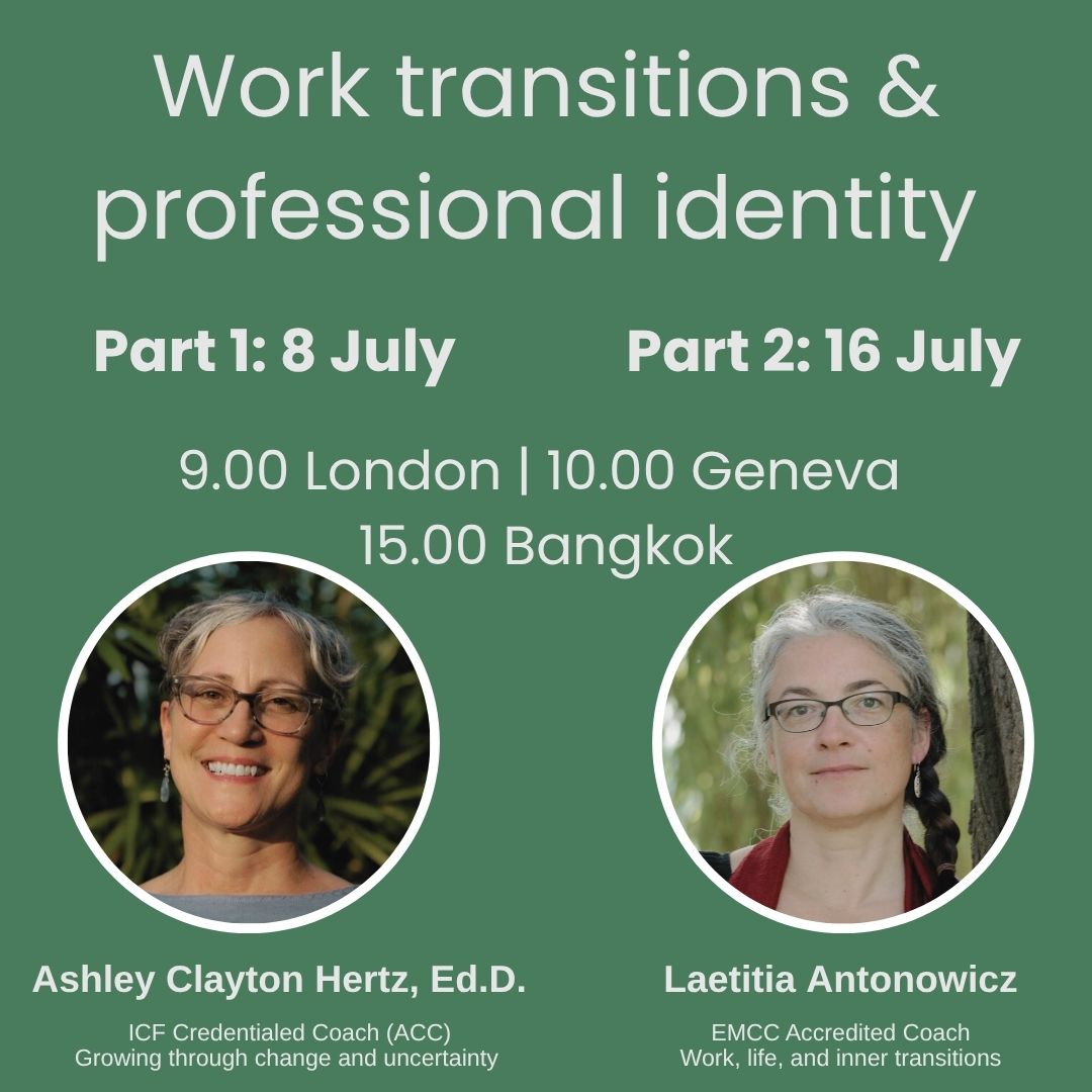 Work transitions and professional identity
