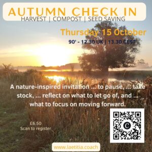 Autumn Check-In Workshop, Laetitia Antonowicz www.laetitia.coach